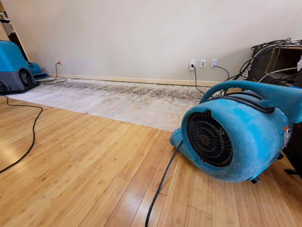 Professional Water Damage Repair technician working in North Royalton, OH